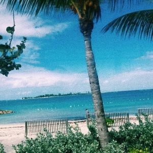 Meet your Posher, Lucy